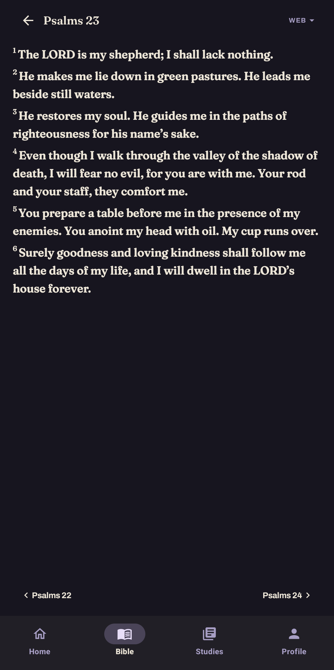 Berea Bible reader showing Psalm 23 with previous and next chapter controls