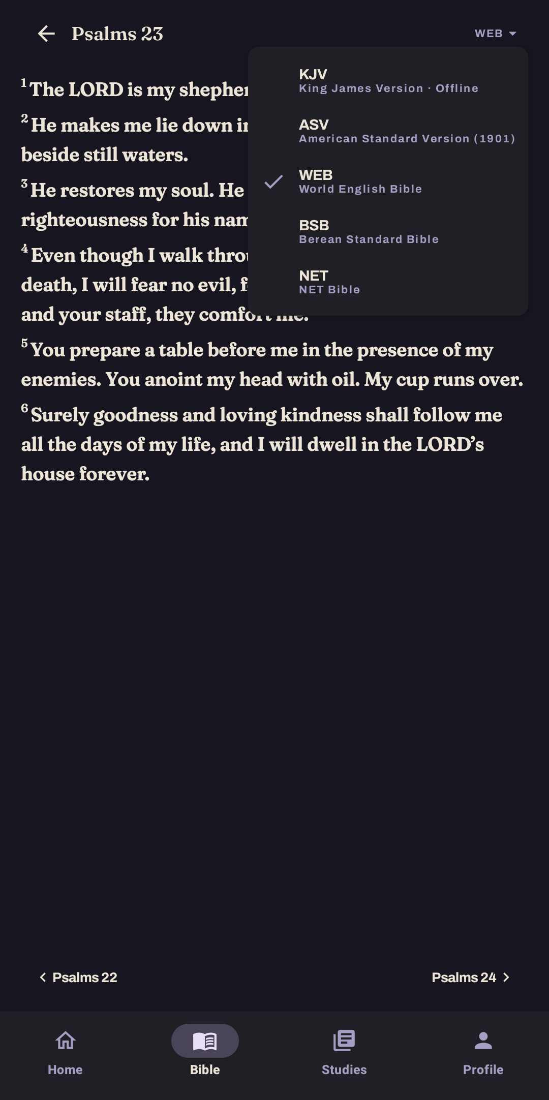 Berea translation menu listing KJV, ASV, WEB, BSB and NET